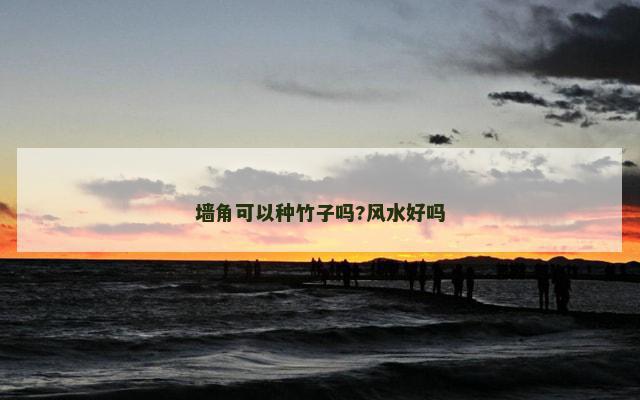 墙角可以种竹子吗?风水好吗