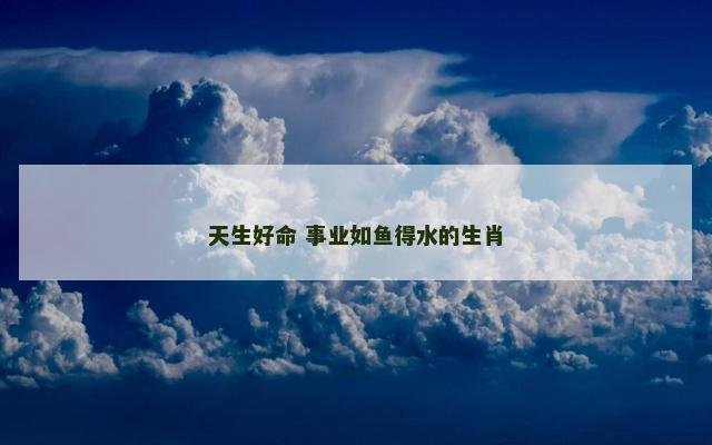 天生好命 事业如鱼得水的生肖