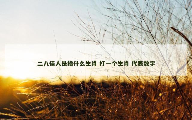 二八佳人是指什么生肖 打一个生肖 代表数字
