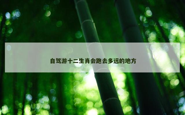 自驾游十二生肖会跑去多远的地方