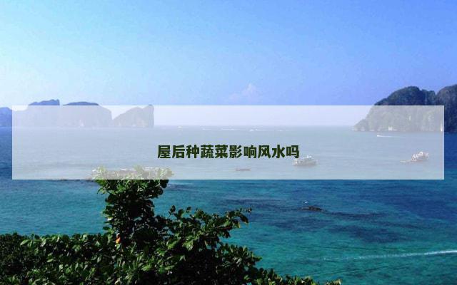 屋后种蔬菜影响风水吗