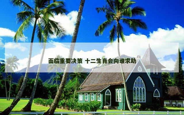 面临重要决策 十二生肖会向谁求助