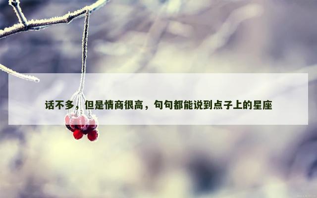 话不多，但是情商很高，句句都能说到点子上的星座
