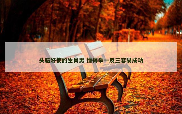 头脑好使的生肖男 懂得举一反三容易成功