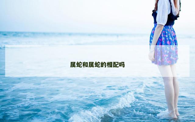 属蛇和属蛇的相配吗