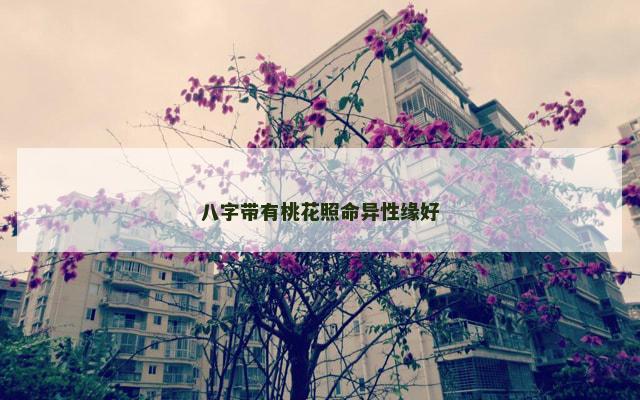 八字带有桃花照命异性缘好