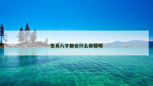 生肖八字都合什么命格呢