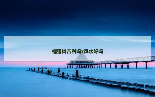 榴莲树吉利吗?风水好吗