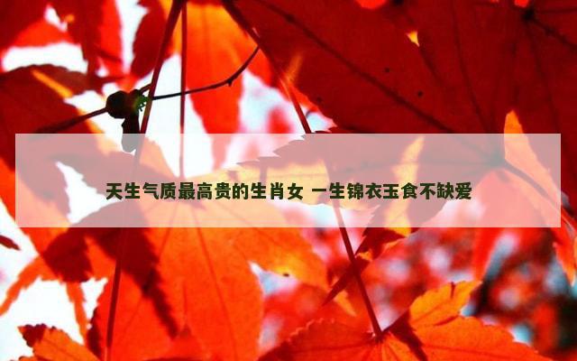 天生气质最高贵的生肖女 一生锦衣玉食不缺爱