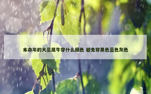 本命年的大忌属牛穿什么颜色 避免穿黑色蓝色灰色
