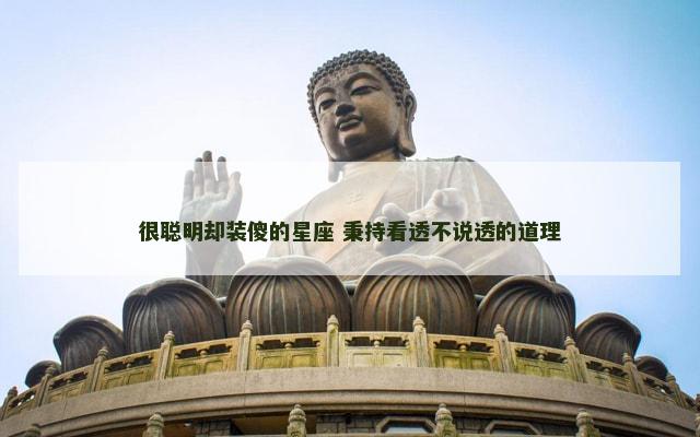 很聪明却装傻的星座 秉持看透不说透的道理