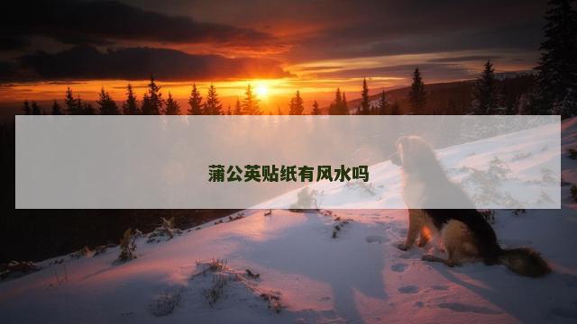 蒲公英贴纸有风水吗