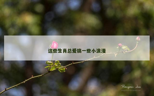 这些生肖总爱搞一些小浪漫
