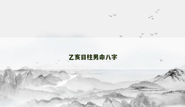 乙亥日柱男命八字