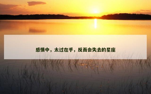 感情中，太过在乎，反而会失去的星座