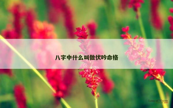 八字中什么叫做伏吟命格