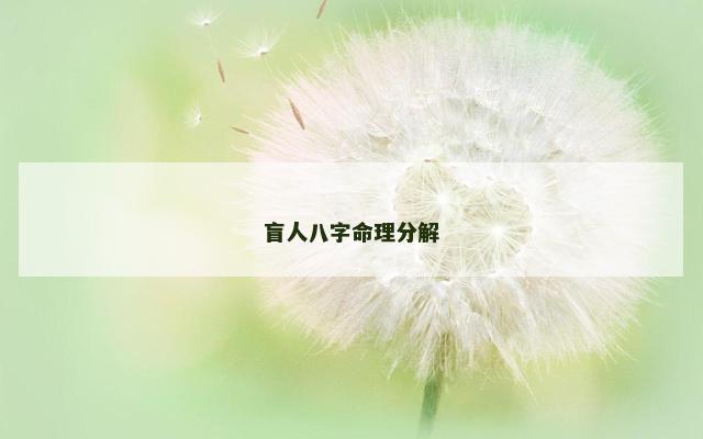 盲人八字命理分解