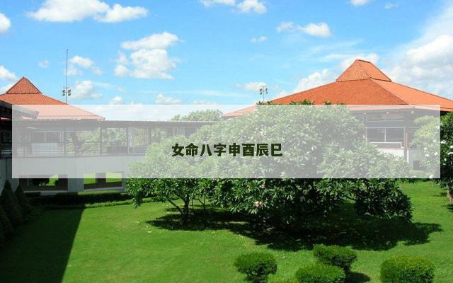 女命八字申酉辰巳