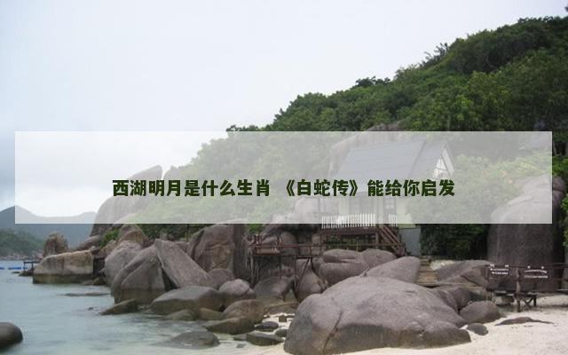 西湖明月是什么生肖 《白蛇传》能给你启发