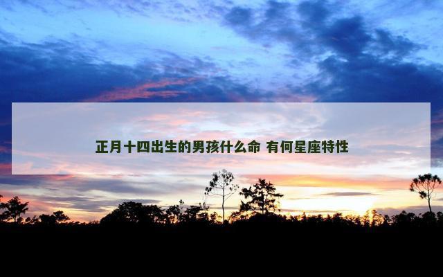 正月十四出生的男孩什么命 有何星座特性