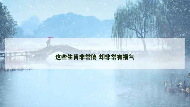 这些生肖非常傻 却非常有福气