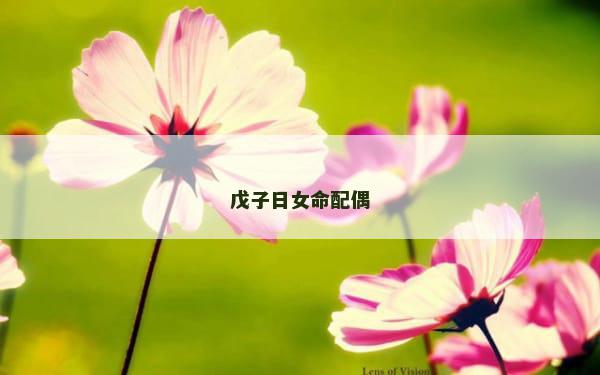 戊子日女命配偶