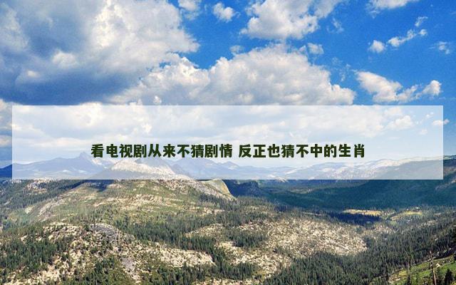看电视剧从来不猜剧情 反正也猜不中的生肖