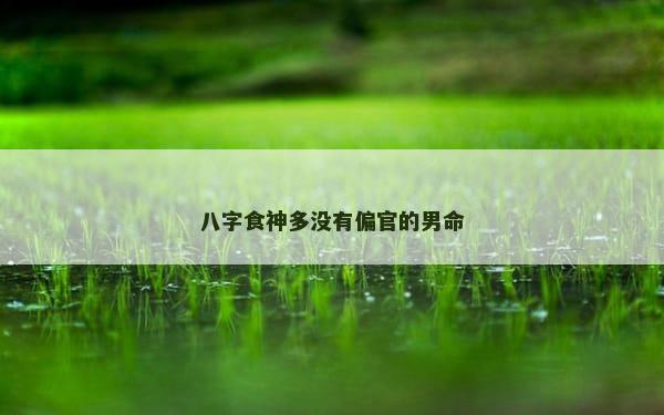 八字食神多没有偏官的男命