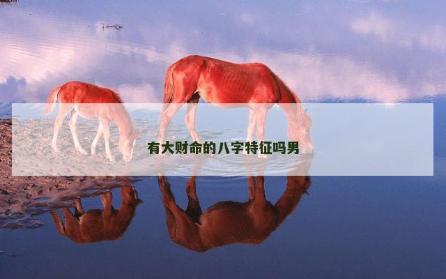 有大财命的八字特征吗男