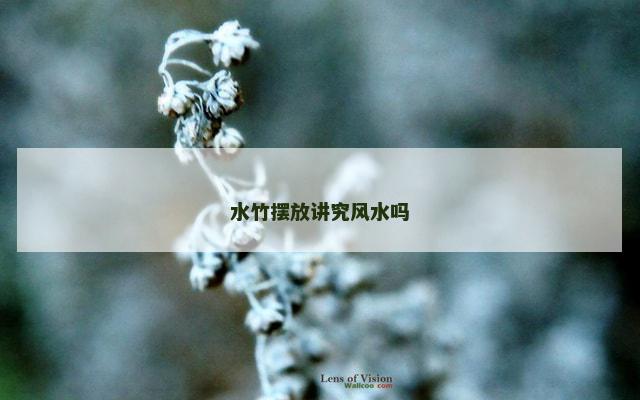 水竹摆放讲究风水吗