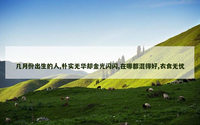 几月份出生的人,朴实无华却金光闪闪,在哪都混得好,衣食无忧