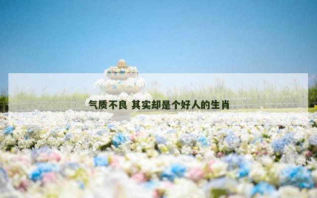 气质不良 其实却是个好人的生肖