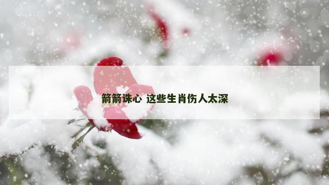 箭箭诛心 这些生肖伤人太深