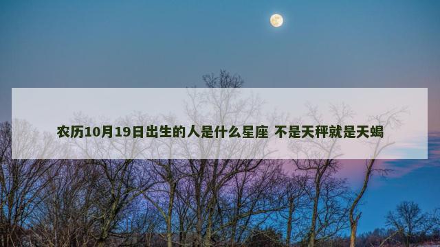农历10月19日出生的人是什么星座 不是天秤就是天蝎