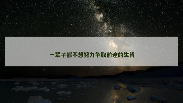 一辈子都不想努力争取前途的生肖