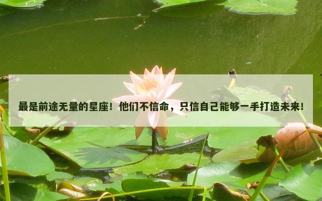 最是前途无量的星座！他们不信命，只信自己能够一手打造未来！