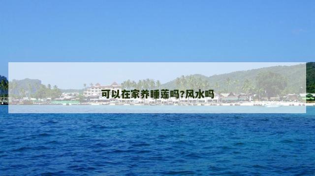 可以在家养睡莲吗?风水吗