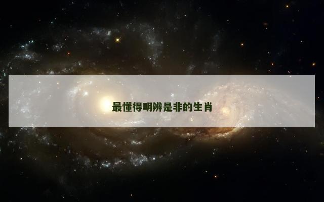最懂得明辨是非的生肖