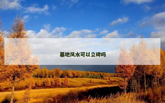 墓地风水可以立碑吗