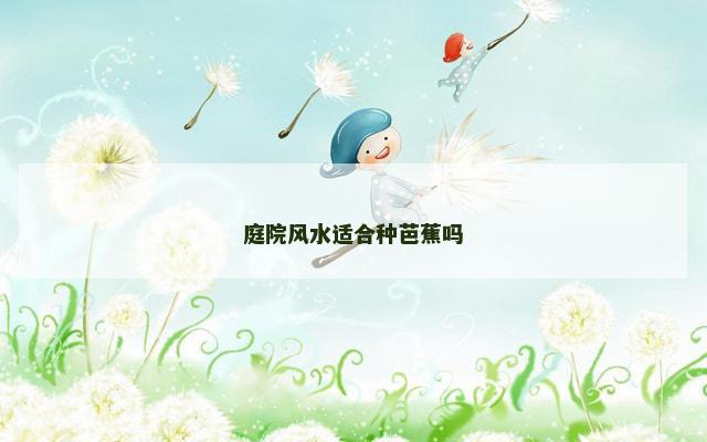 庭院风水适合种芭蕉吗