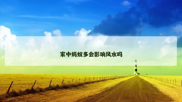家中蚂蚁多会影响风水吗