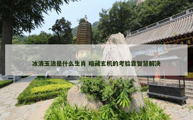 冰清玉洁是什么生肖 暗藏玄机的考验靠智慧解决