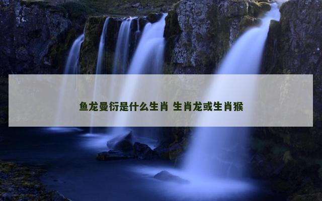鱼龙曼衍是什么生肖 生肖龙或生肖猴