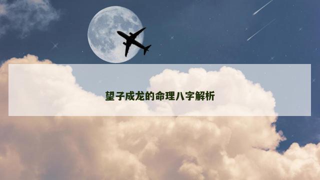 望子成龙的命理八字解析