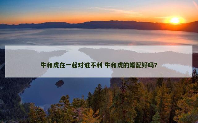 牛和虎在一起对谁不利 牛和虎的婚配好吗？