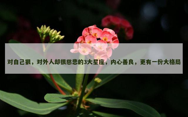 对自己狠，对外人却很慈悲的3大星座，内心善良，更有一份大格局