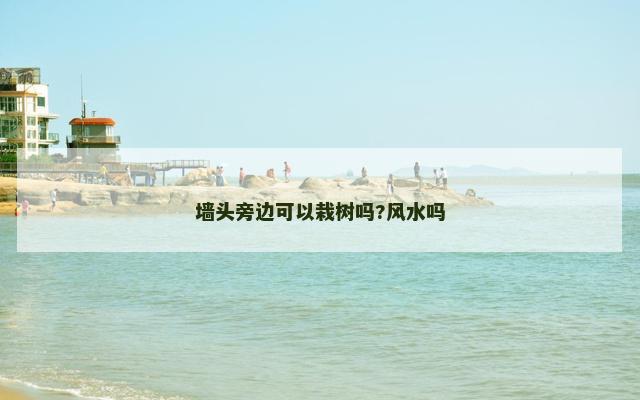 墙头旁边可以栽树吗?风水吗