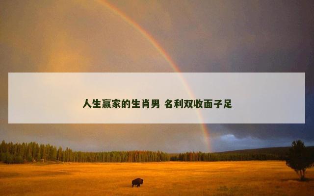 人生赢家的生肖男 名利双收面子足