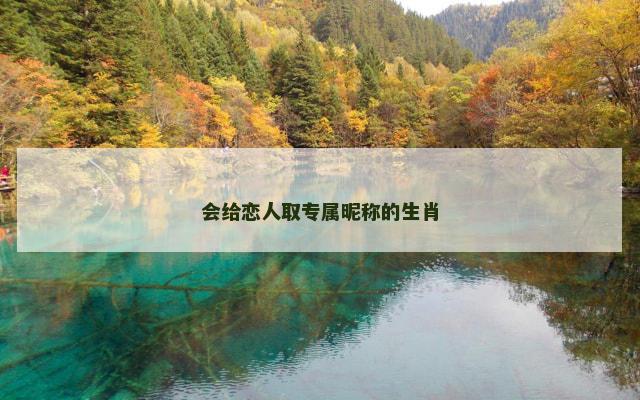 会给恋人取专属昵称的生肖