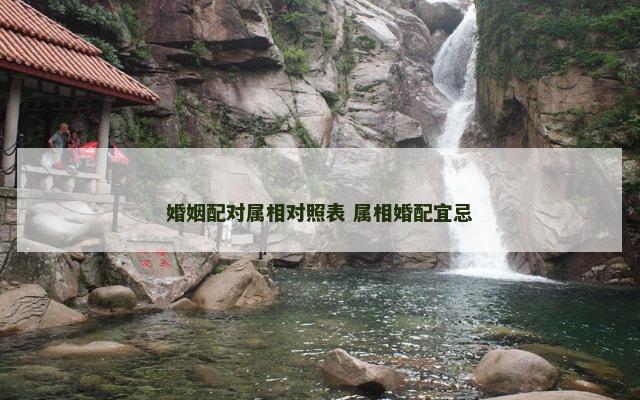婚姻配对属相对照表 属相婚配宜忌